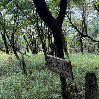 楢木山