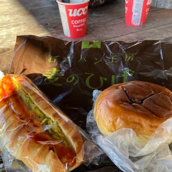 普段はあまり選ばないアンパンをチョイス。
左はカレードッグ。