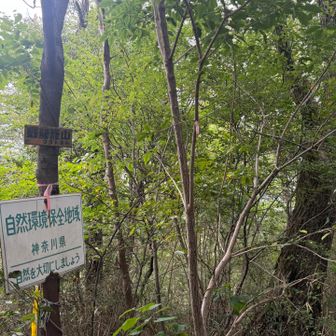 雌龍籠山
