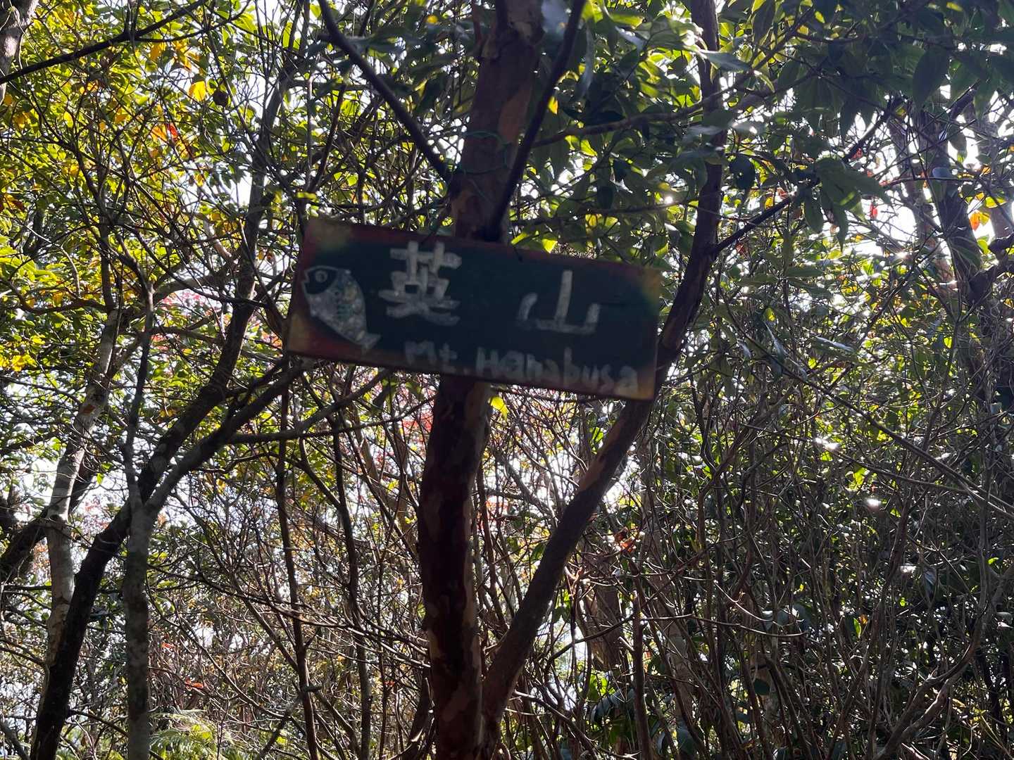 英山登山口-英山-本城岳-有田ダム登山口 周回コースの写真
