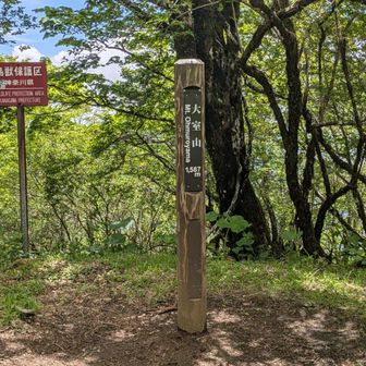 休憩後に大室山🙌