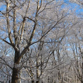 帰りには無くなってしまうのだ