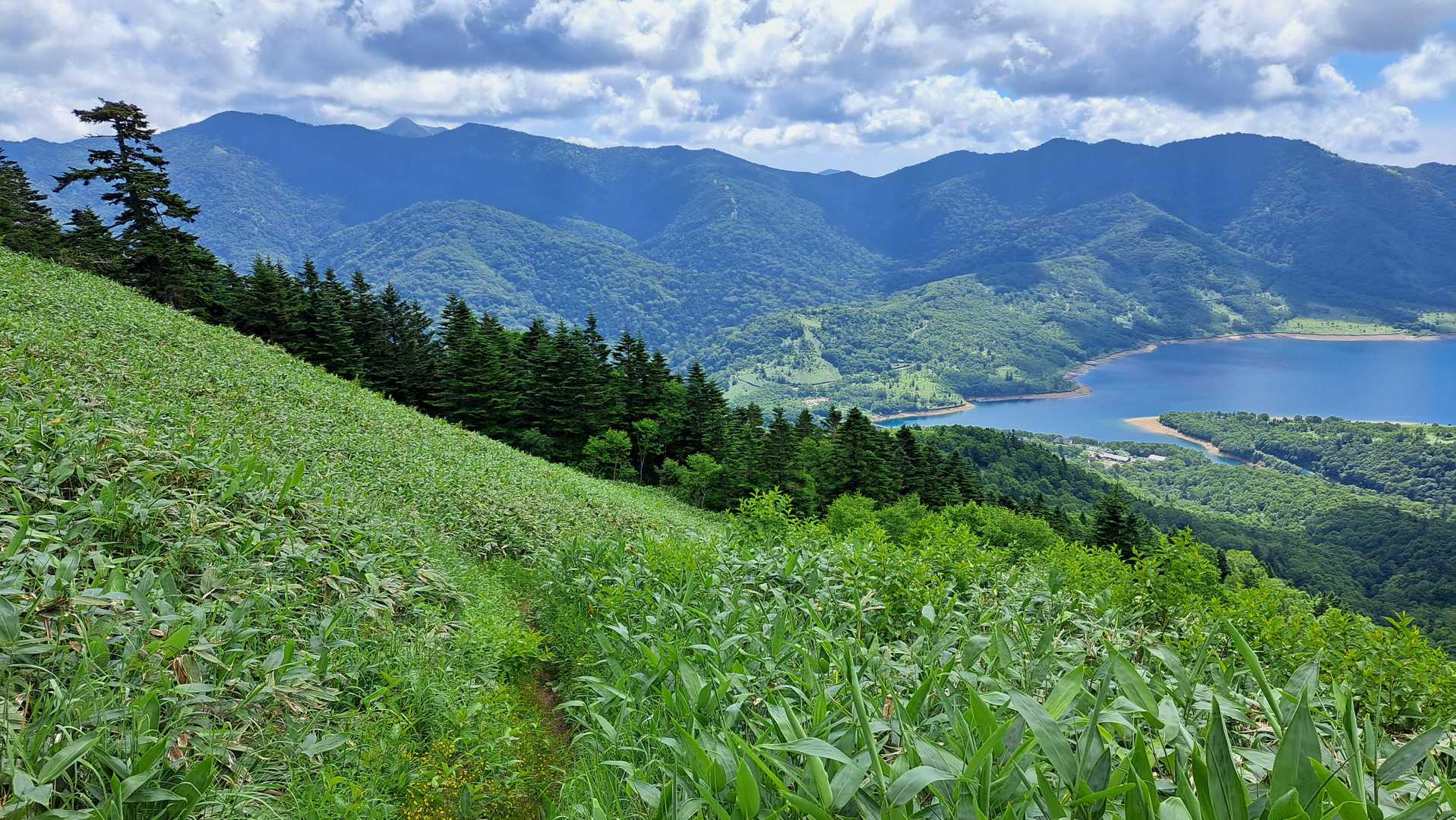 　歩いてきた道を振り返り。
　先日歩いてきた白砂山がちょこんと頭を出してます。
