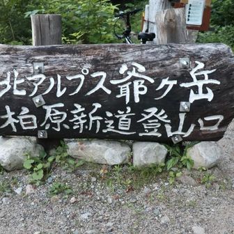 １５年ぶり位かな全く覚えていない