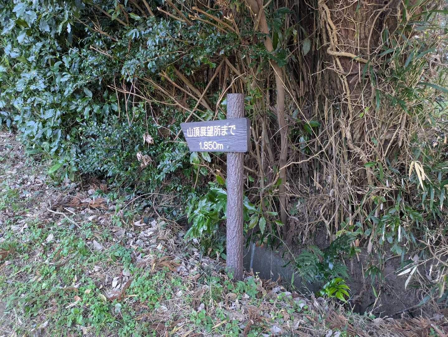 可也山往復｜糸島富士の別名を持つ美しい頂から眺望する糸島ブルーの写真