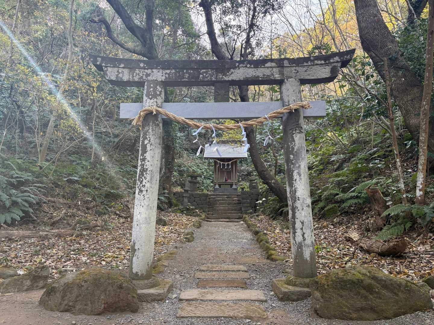 真鶴駅-番場浦遊歩道入口-真鶴岬-ケープ真鶴バス停-山の神 周回コースの写真