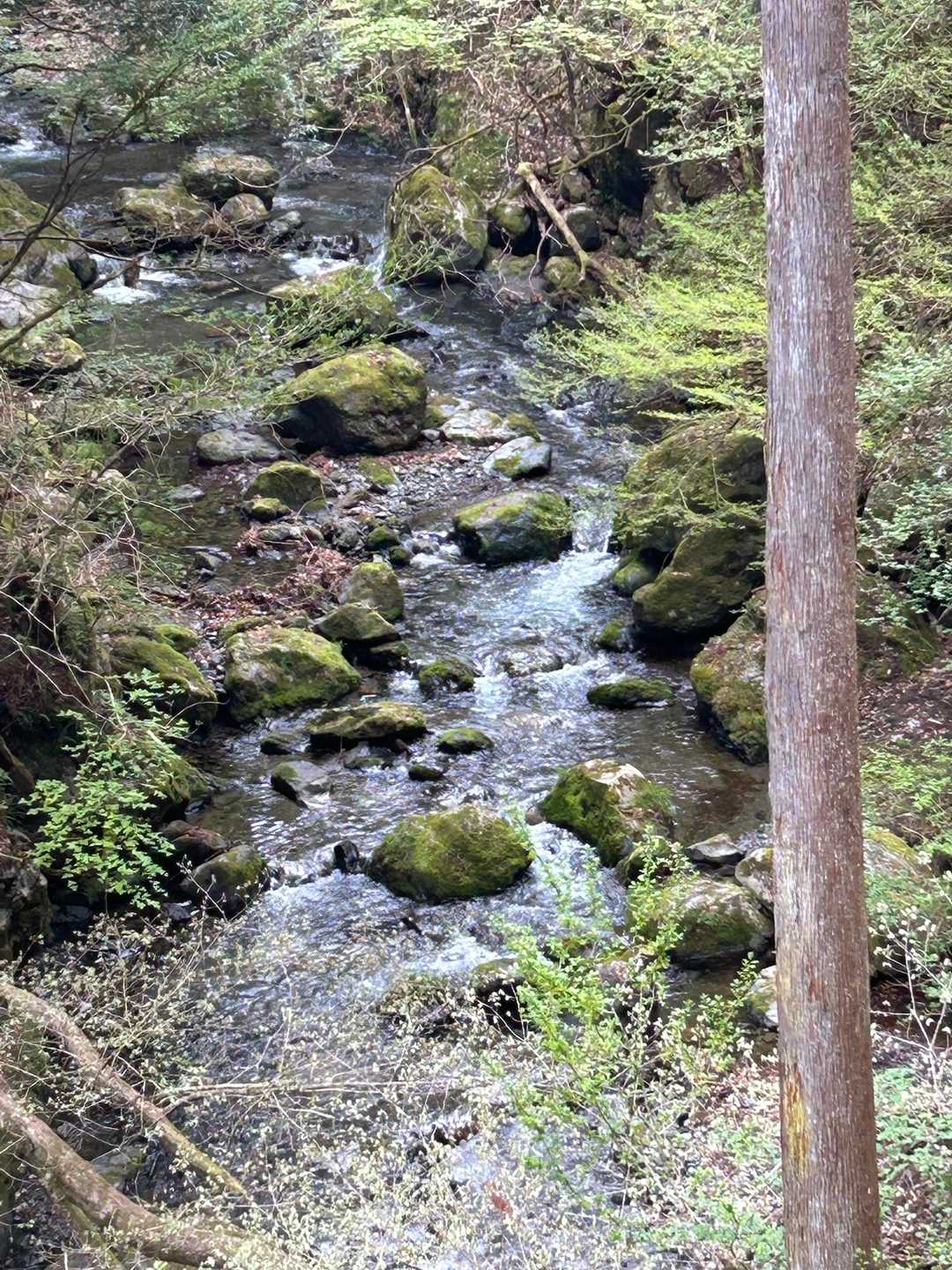 水の流れる音に癒される☺️