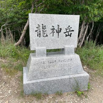 よく見るやつですね