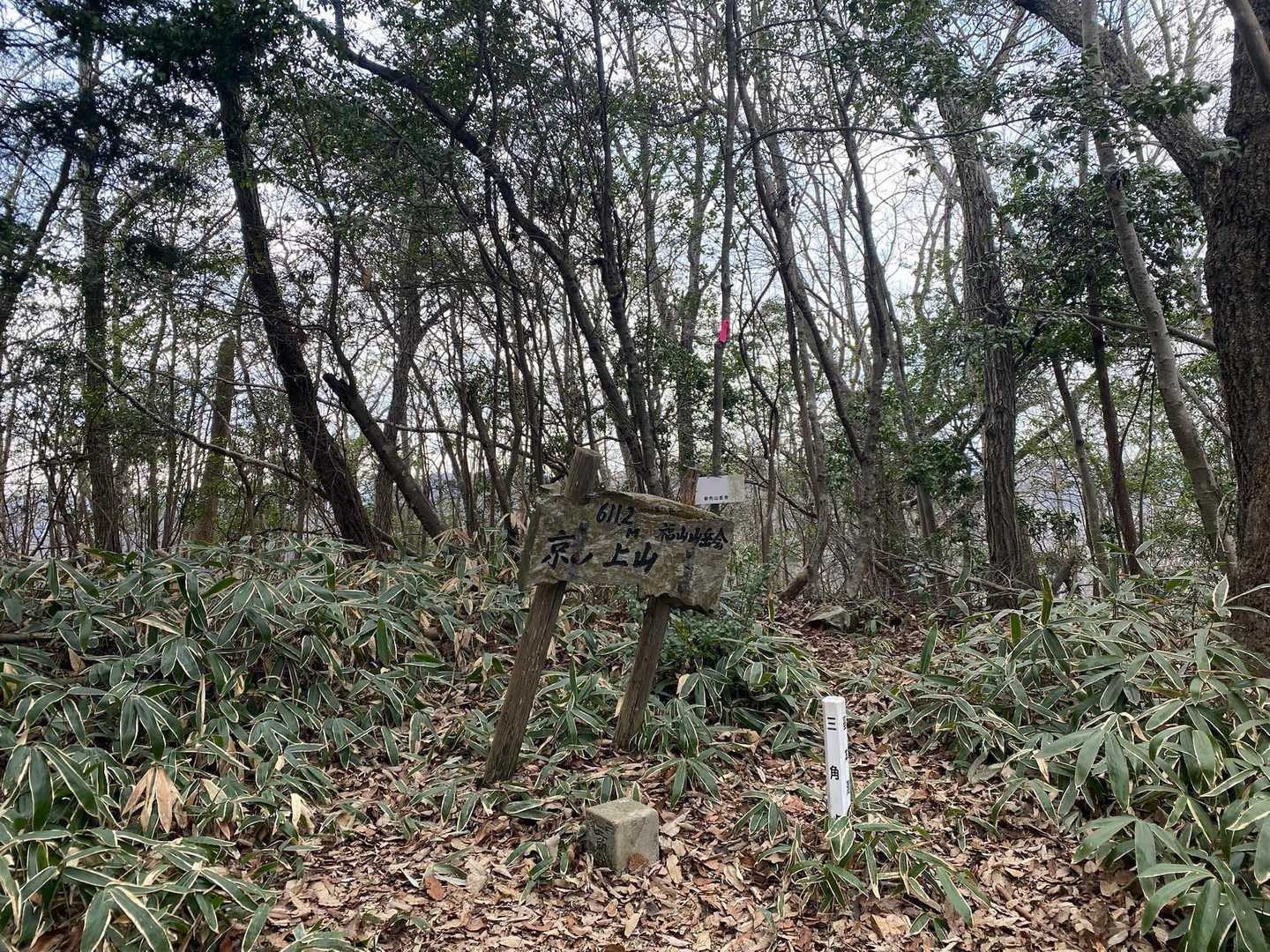 山頂でコーヒータイムしたかったけど、
時間がないので下山する💦