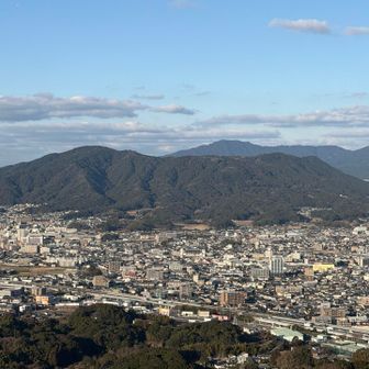 セリバオウレン開花中の四王寺⛰️
また今度いきますね😊