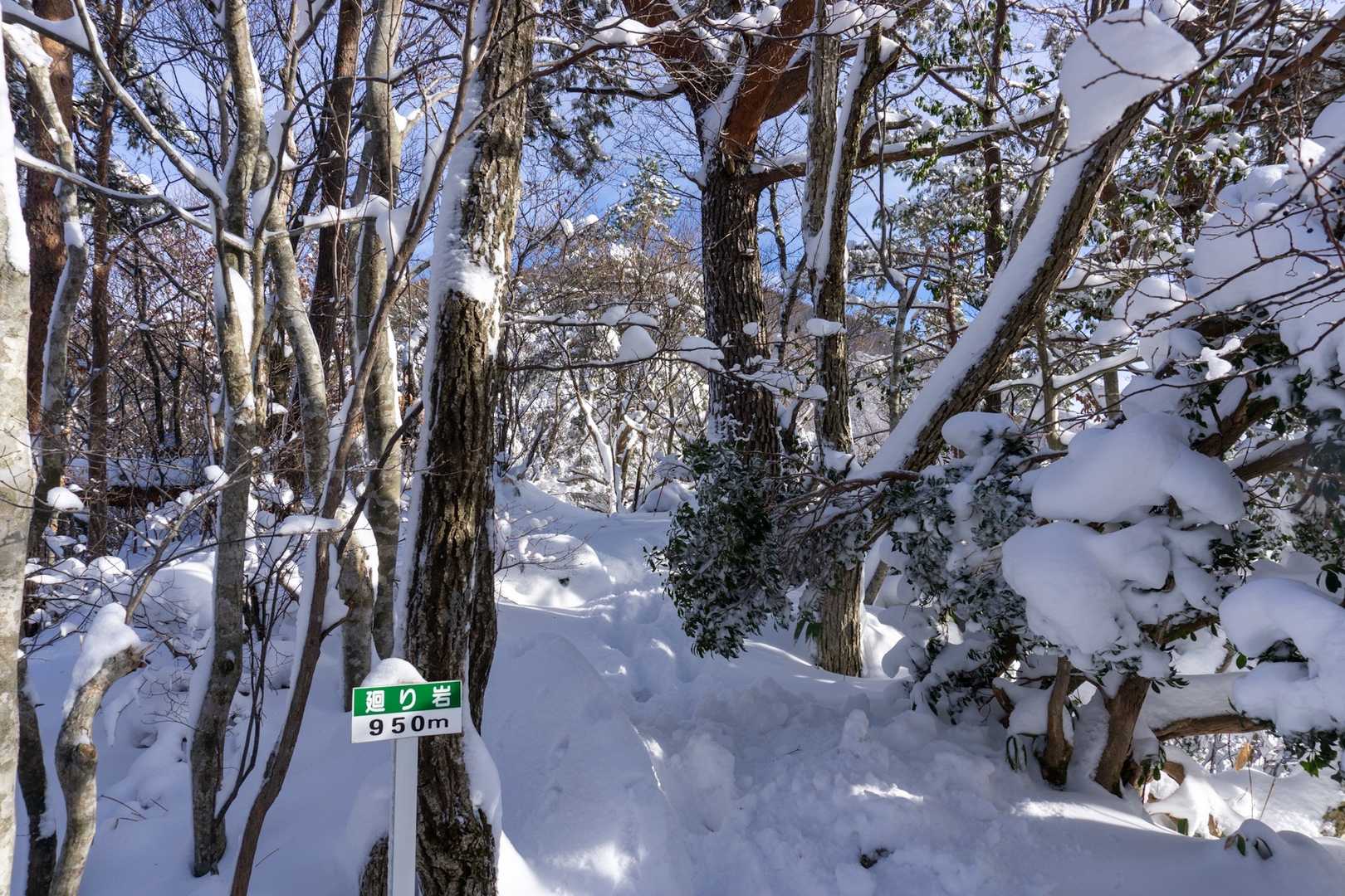廻り岩。
大岩があるので、この標識のところから岩を右に巻きます。
この辺りで先行者の方としばらく一緒に。