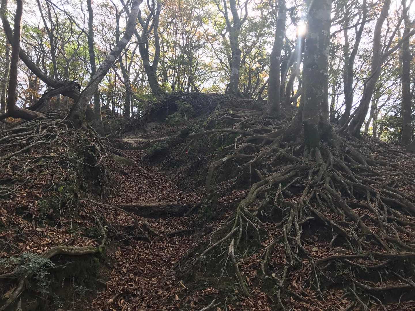 釈迦ヶ岳-猫岳 周回コースの写真