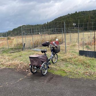 レジェンドさんはまだ山の中ですね。