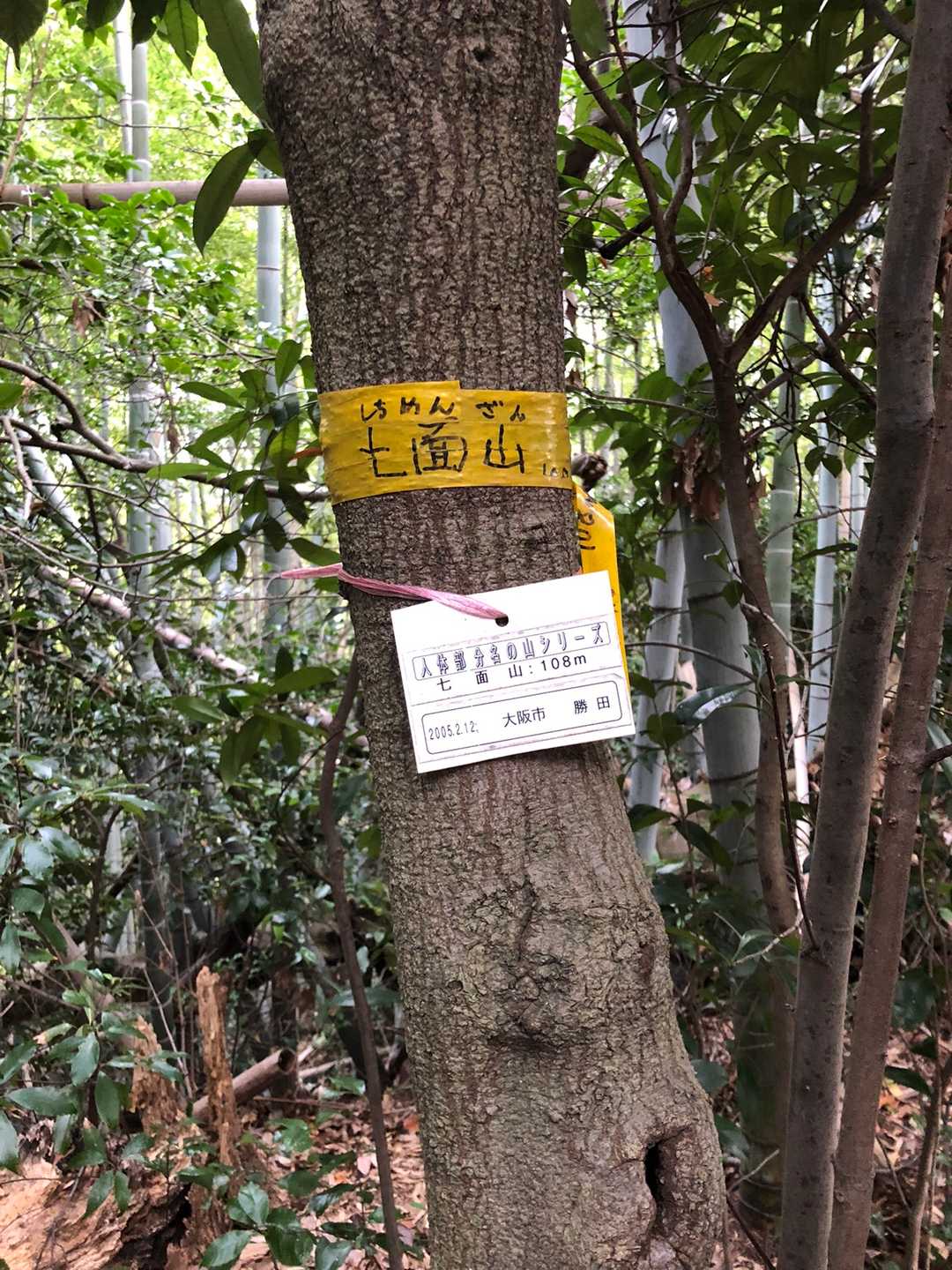 アチコチ迷ってようやく七面山到着！

なんとわかりにくいピーク！😰
それも108mなのね😅💦

今日はチェックポイントにツラツラお山の名が上がってますが新しくカウントされた山は七面山ひとつ😅💦
一個追加で登頂した山
221になりました🤪
低山だけど伏見稲荷まで歩けたので
七面山に寄れてよかった！😉