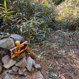 この先に行くとどうなってるのか気になります。　誰かルートアップしてくれないかな？