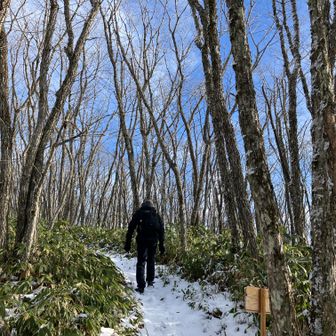 冬枯れ木立を抜けて。