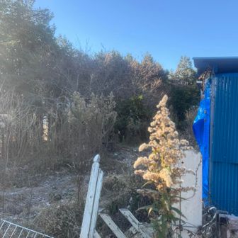 高尾山。
この辺りと頭高山への登りが歩きづらかった。
シューズだったら問題ないです。