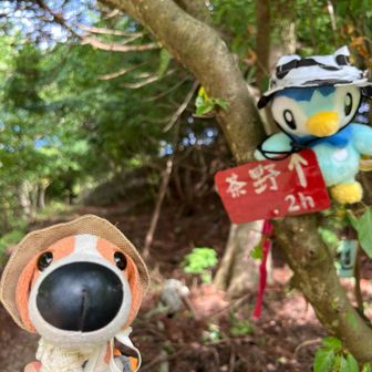 大君ヶ畑の登山口に戻ってきたよ〜
今日もアドベンチャー感満載で楽しかった！
デビュー戦、おつかれ山⛰️