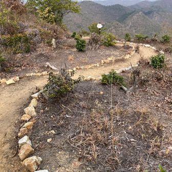 北山がしっかり整備されてる🙏
と感心してたらこの後。。