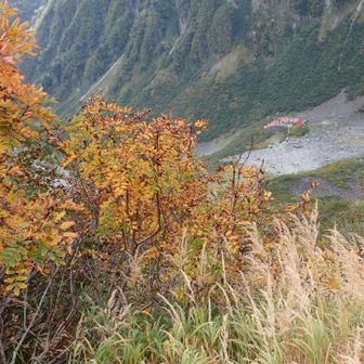涸沢