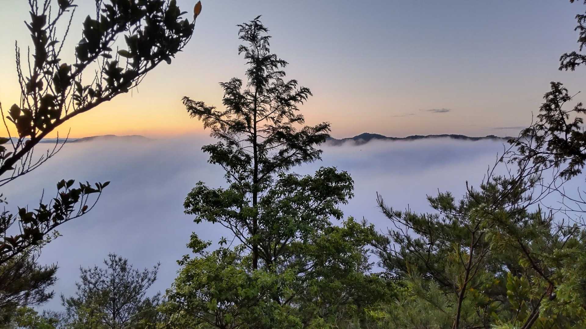凄い雲海が発生しています!🤗