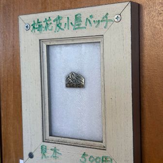 バッチ、めっちゃ欲しかった😭