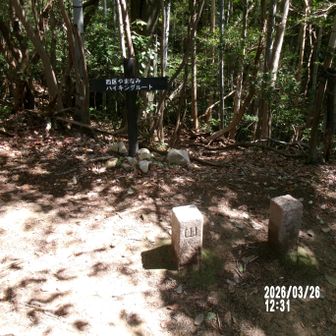 奥畑、大茶臼山、丸山、鍬投げ峠方面への分岐