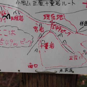案内版あり