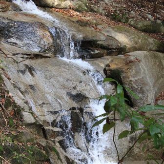 名前がわからない滝💦千鳥滝💦だったように記憶🥹