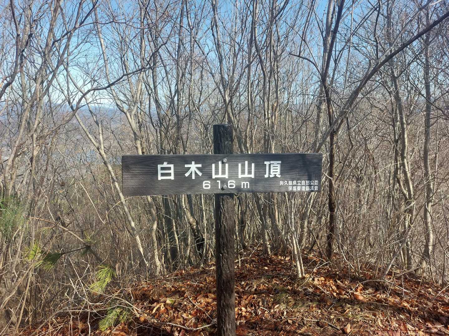 白木山山頂に到着👏