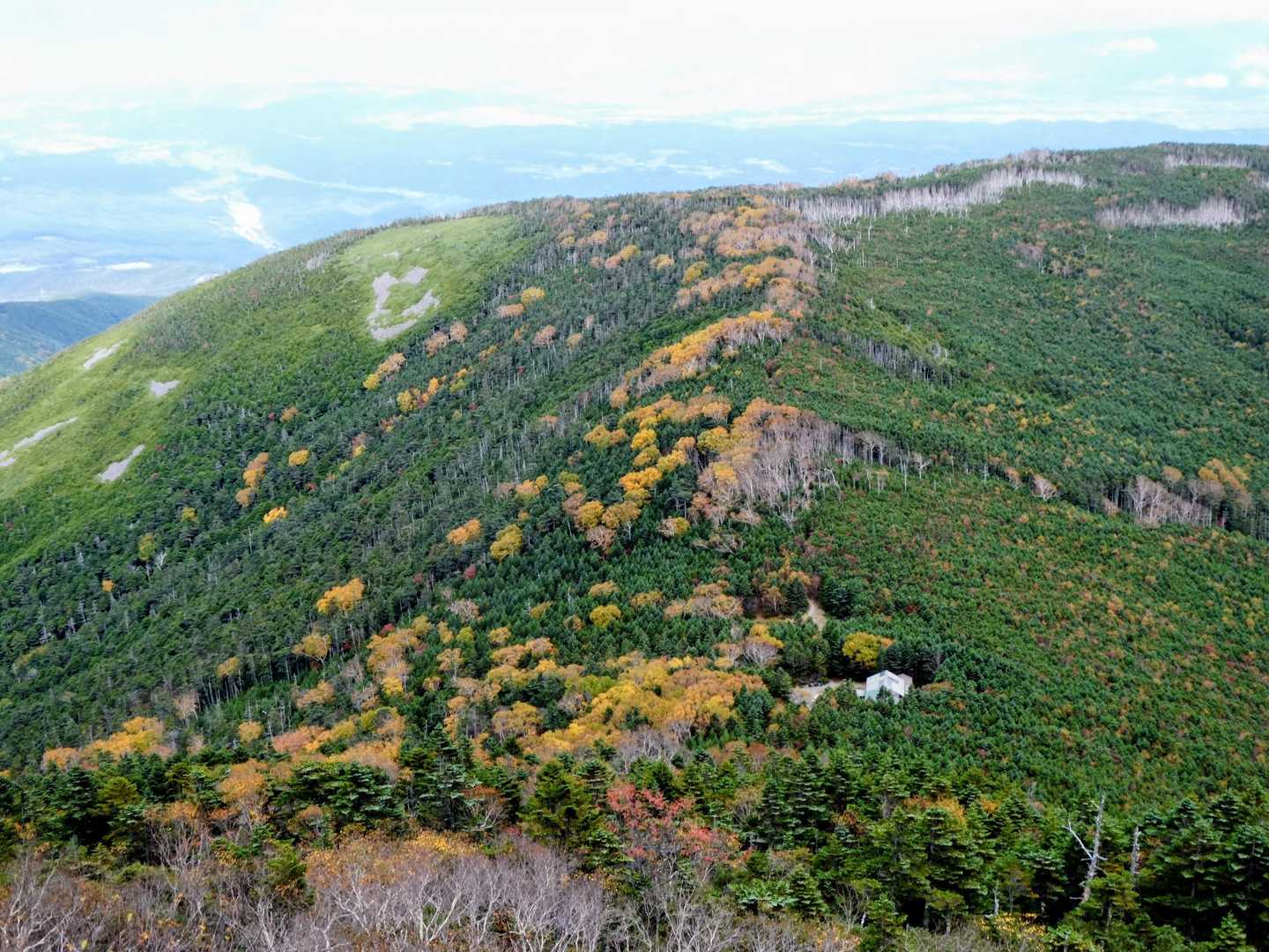 ちょっと紅葉が始まってます🍁