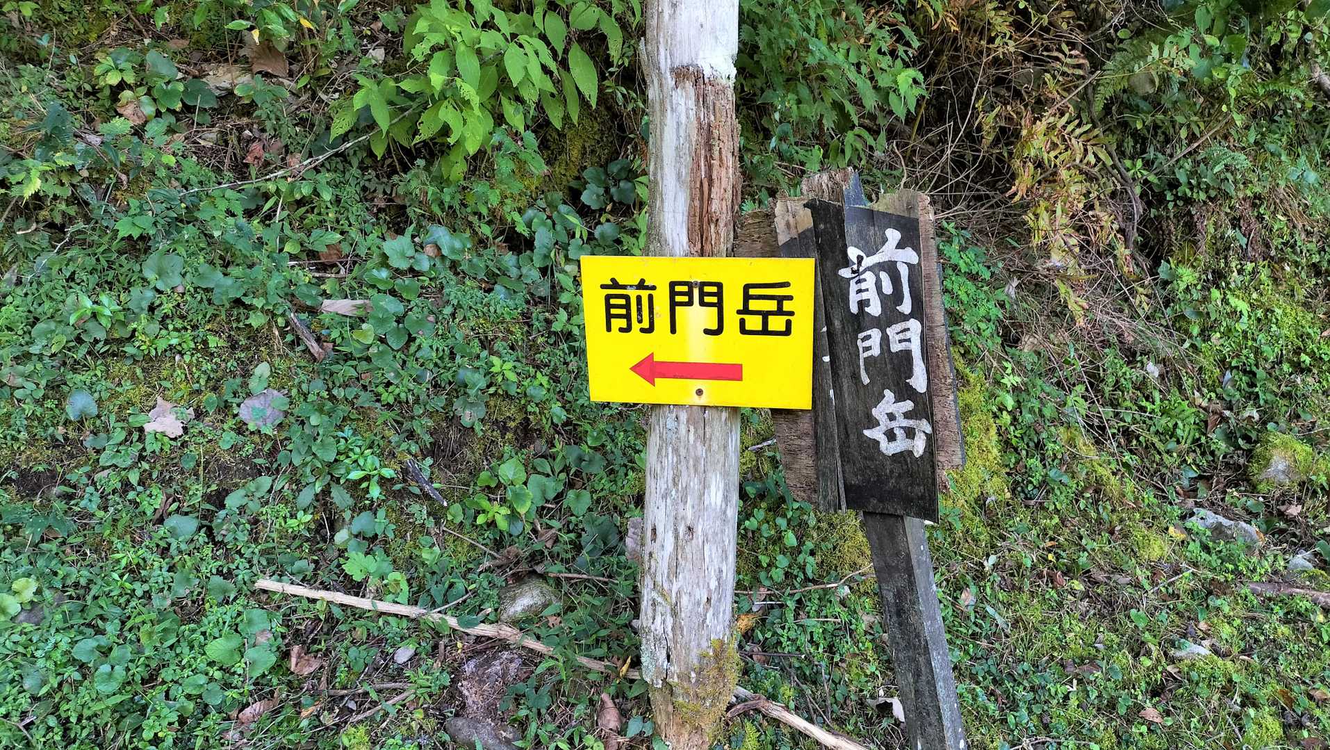 案内看板そばに登山口。
往復約3.0km
休憩なしで往復2時間20分。時間距離は軽めの山っぽく見えますが････
