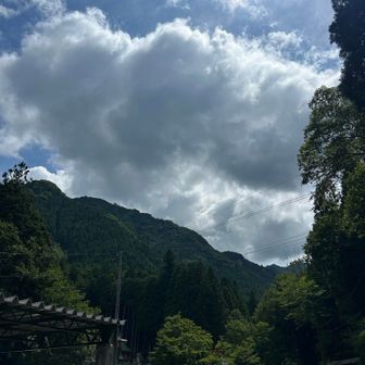 寝坊&渋滞で遅いスタート
ここで25℃くらい。天川村は涼しいな。

車多い割に山であまり会わなかったから、皆さん稲村方面への縦走が多かったのかな？