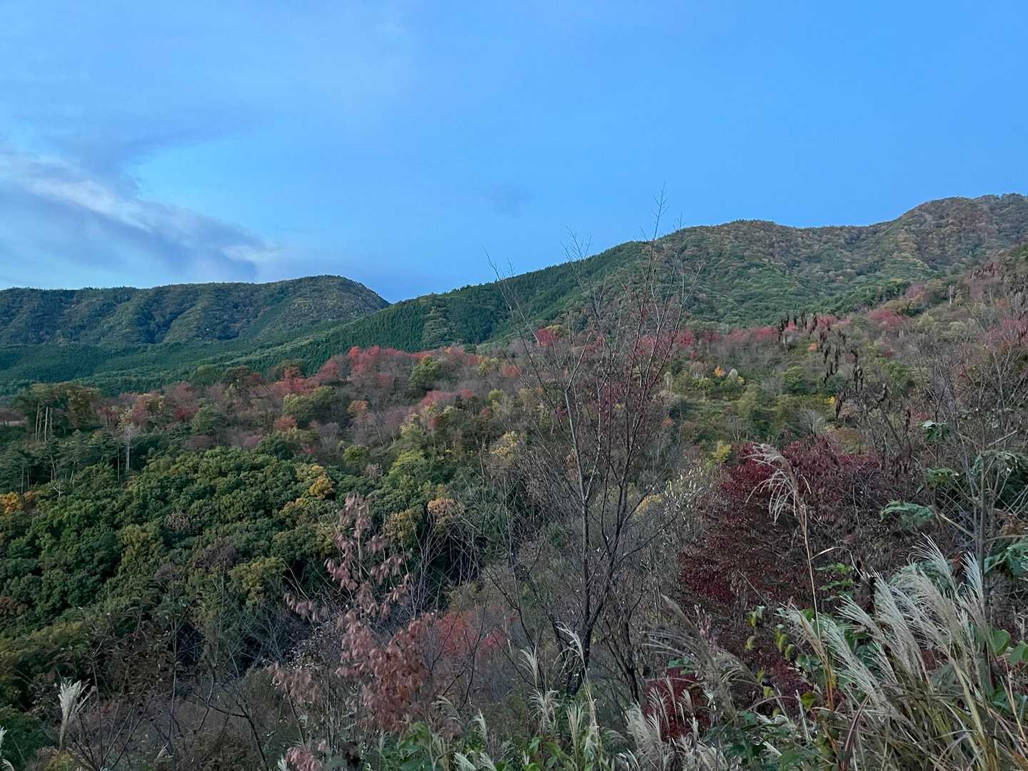 しばらくは、なだらかな道で紅葉もキレイです。
この日一番ここが景色がよかったかも😳