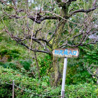 初沢城入り口。
城だったんですね
