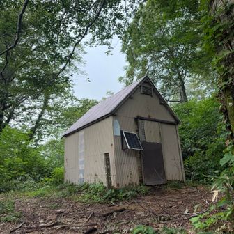 避難小屋の中でひと息つこうと思ったら小屋内にもアブがいた😱
