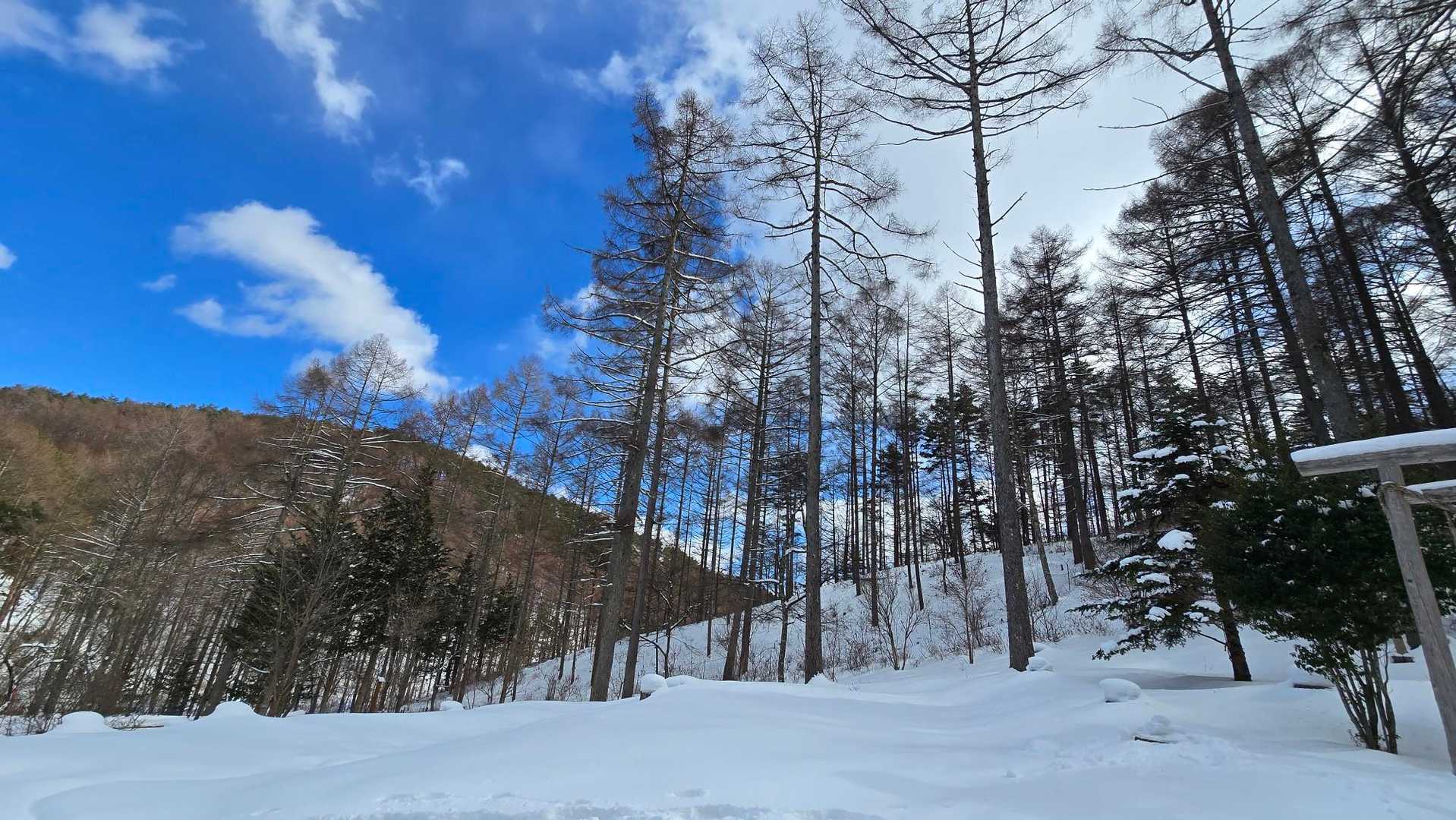 良い風景