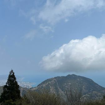 左端に見えるはずなんだけど…