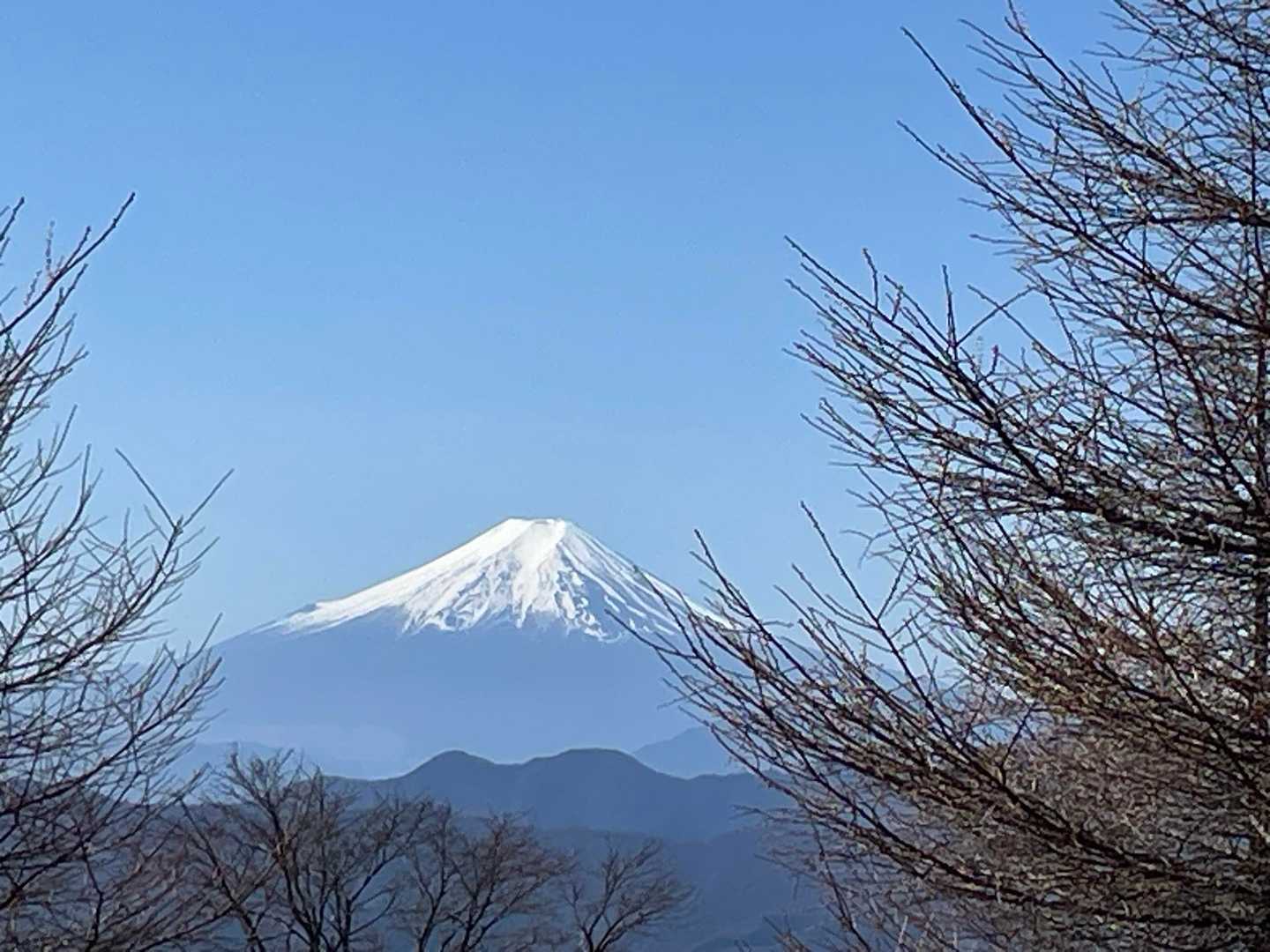 鷹ノ巣山-水根山-城山-十二天山-絹笠山-六ツ石山・石尾根 縦走コースの写真