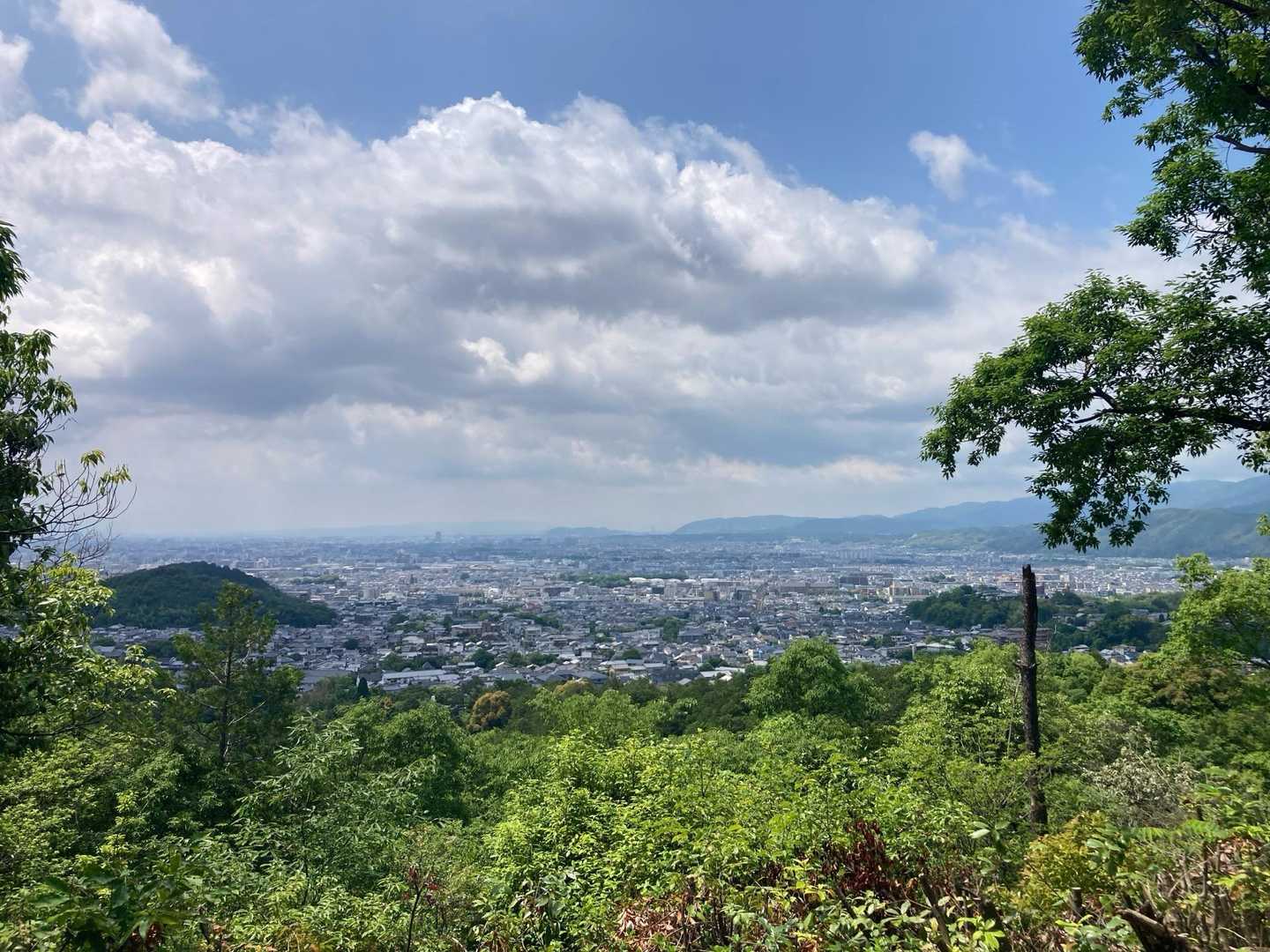 いいお天気です♪