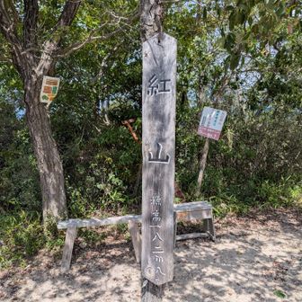 岩場のあるお山は「紅山」
ほんと楽しかったここ。