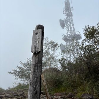 山頂着きました