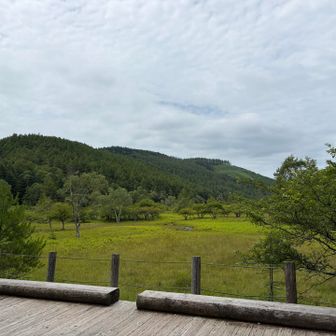 大阿原湿原に到着