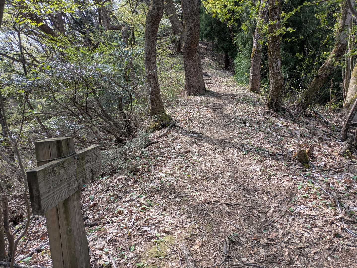 バンビライン登山口-小鹿山-比島駅 周回コースの写真