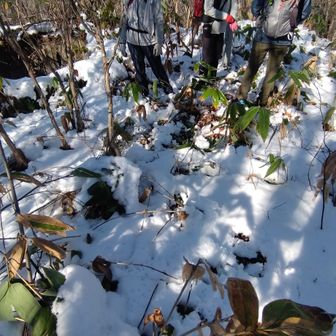 山頂の様子

では腹ペコになってきたので下山
既にオヤツに消えました(笑)