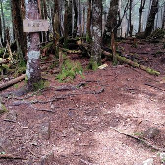 和名倉山（白石山）頂