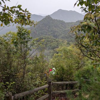福寿山(259m)【別名:貧乏山】の後ろに平家山383m)、左に歓喜山(263m)