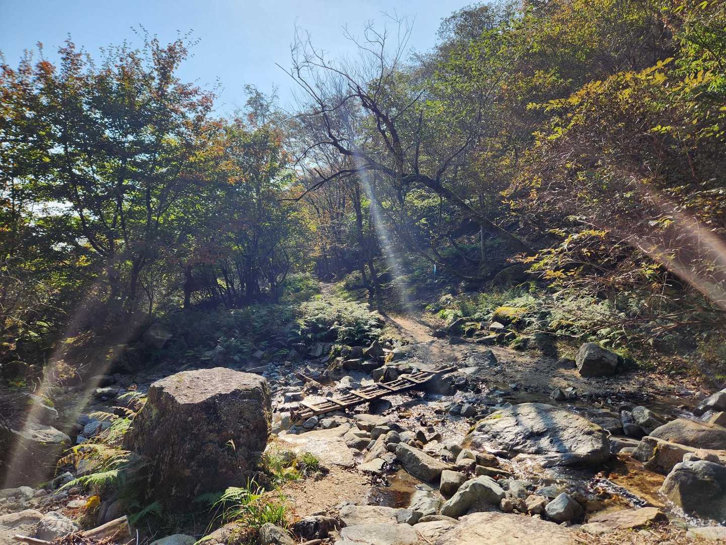 沢の水で顔を顔を洗いました