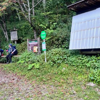 黙々と降りて一ノ沢登山口