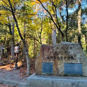 山あるある⛰️
朝が早すぎてまだ10時ですが終盤に突入✨